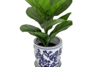 A large potted plant sitting on top of a brick walkway